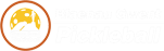 Blaenau Gwent Pickleball Club Logo